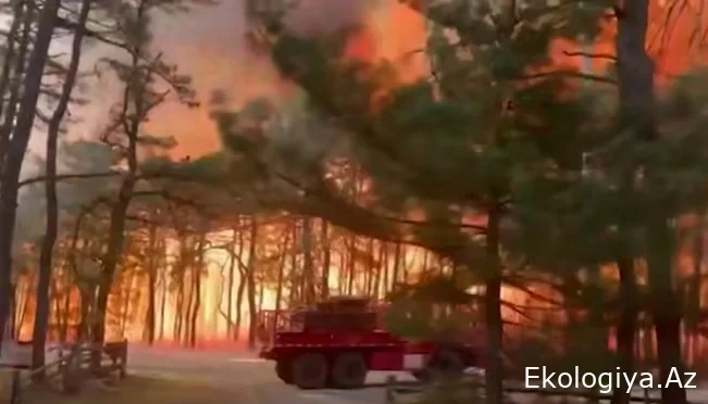 Dəhşətli meşə yanğını, minlərlə insan təxliyə edildi