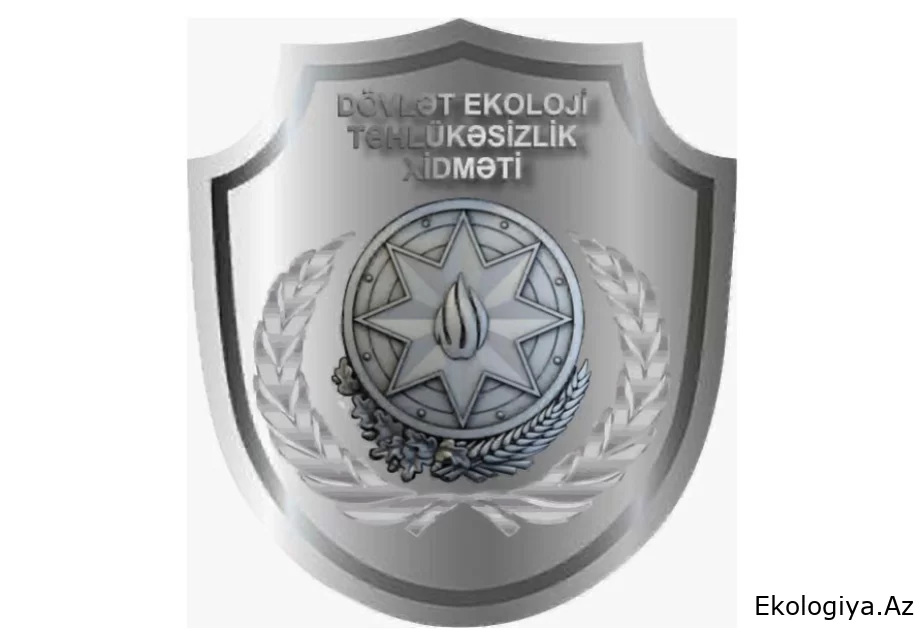 Şabran və Qusar rayonlarında təbiətə 13 min manatdan çox ziyan dəyib