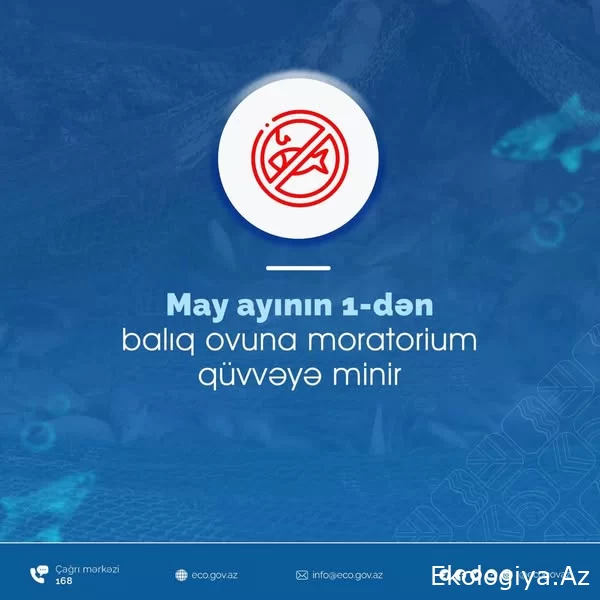 May ayının 1-dən balıq ovuna moratorium qüvvəyə minir