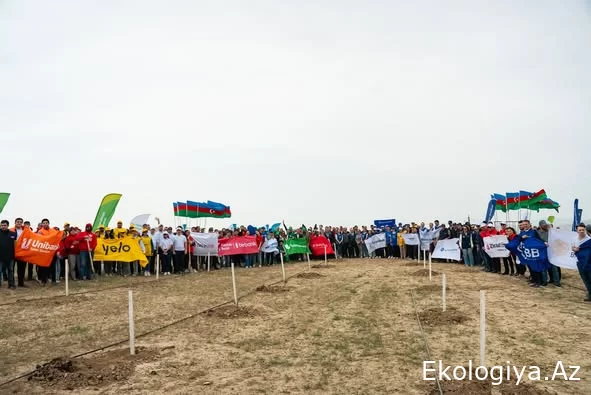 ETSN-nin təşkilatçılığı ilə "Konstitusiya və Suverenlik İli" çərçivəsində növbəti ağacəkmə aksiyaları təşkil olunub - FOTO
