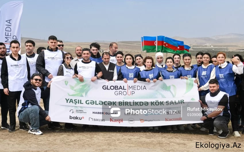 “Global Media Group”un təşəbbüsü ilə Müşfiqabad qəsəbəsində ağacəkmə aksiyası keçirilib - FOTO