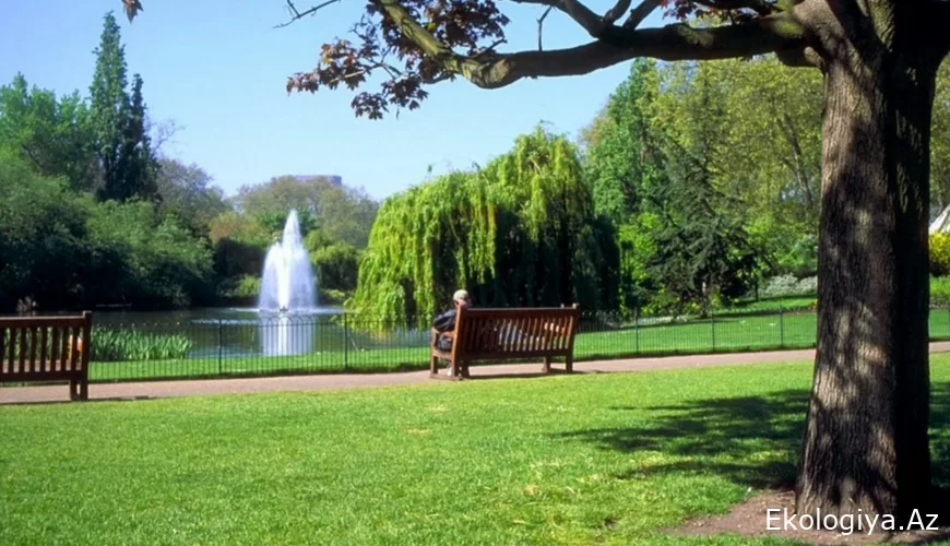 Bakıda bu ərazidə yeni park salınacaq