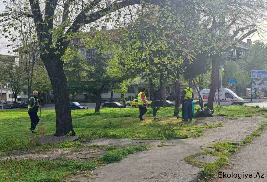 Bu ölkədə gənə və ağcaqanadlar tərəfindən ötürülən xəstəliklər artmaqdadır