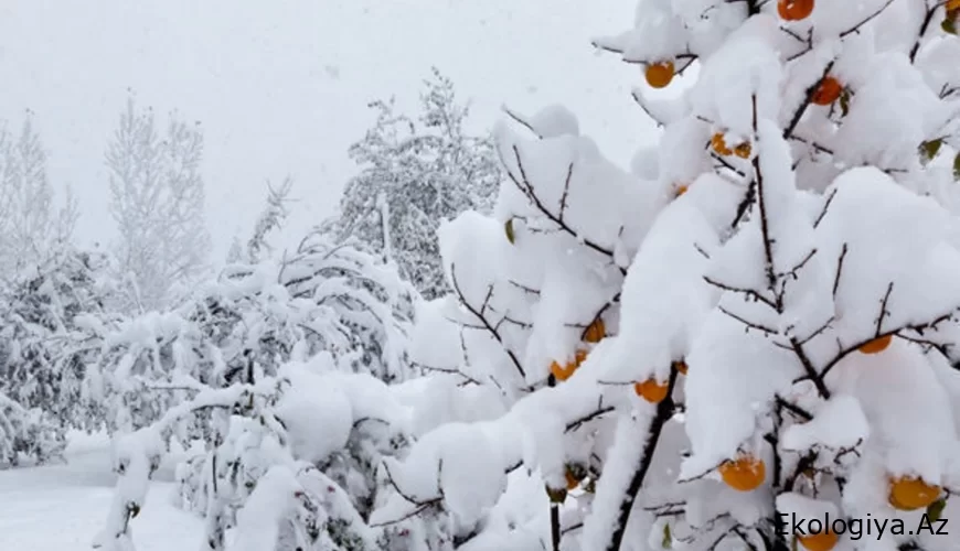 Apreldə qar yağacaq - Ölkədə xəbərdarlıq edildi,  temperatur dəyişəcək
