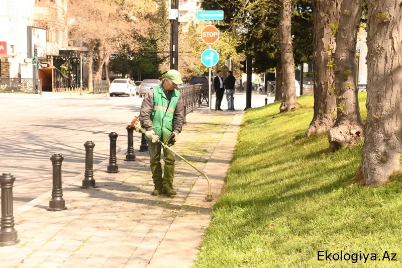 Paytaxtda növbəti dəfə geniş təmizlik işləri aparılıb (FOTO)