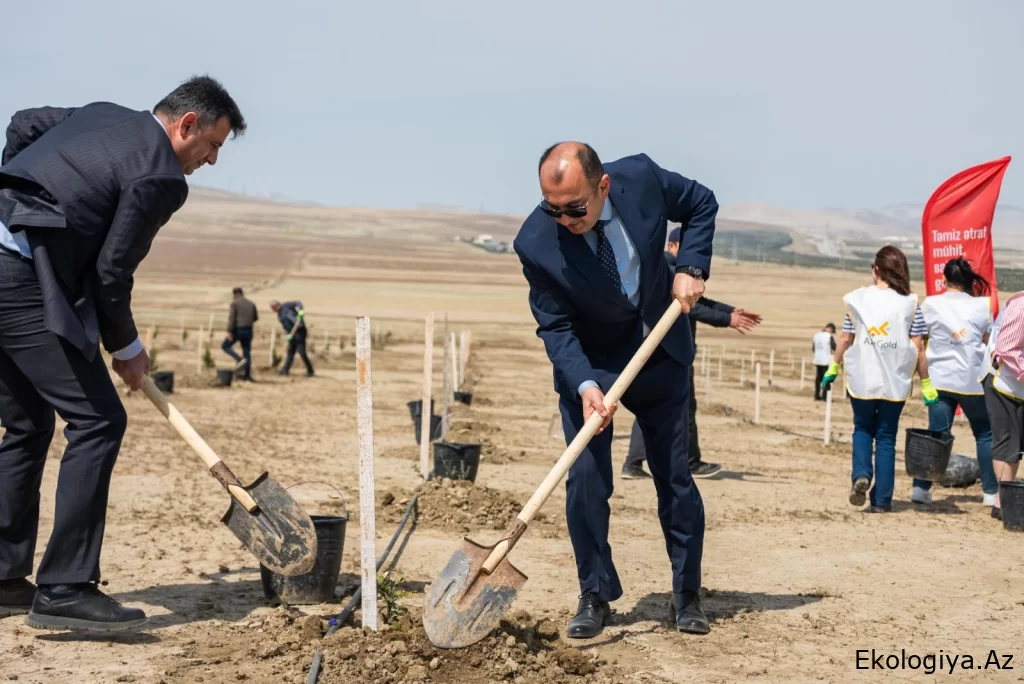 “AzerGold” və ETSN  “Beynəlxalq Yer Günü” ilə əlaqədar ağacəkmə aksiyası keçirib - FOTO