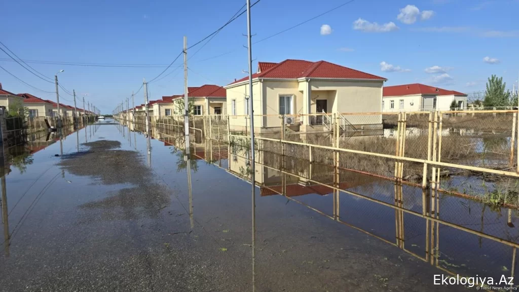 Ağcabədidə yüzə yaxın evin həyətini su basdı (FOTO)