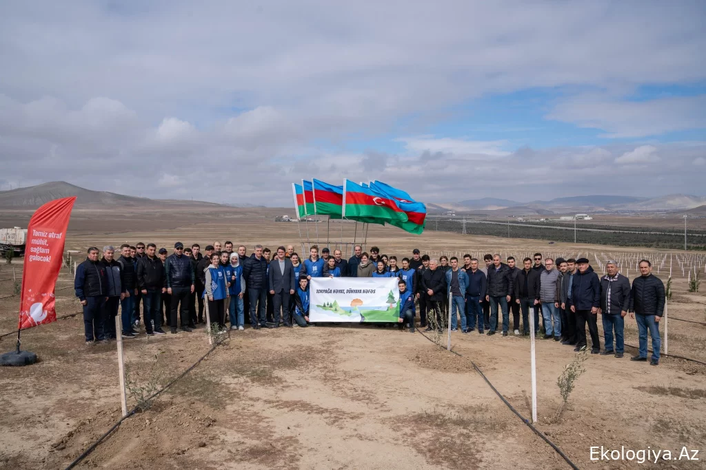“Konstitusiya və Suverenlik İli” çərçivəsində keçirilən ağacəkmə aksiyaları davam edir - FOTO