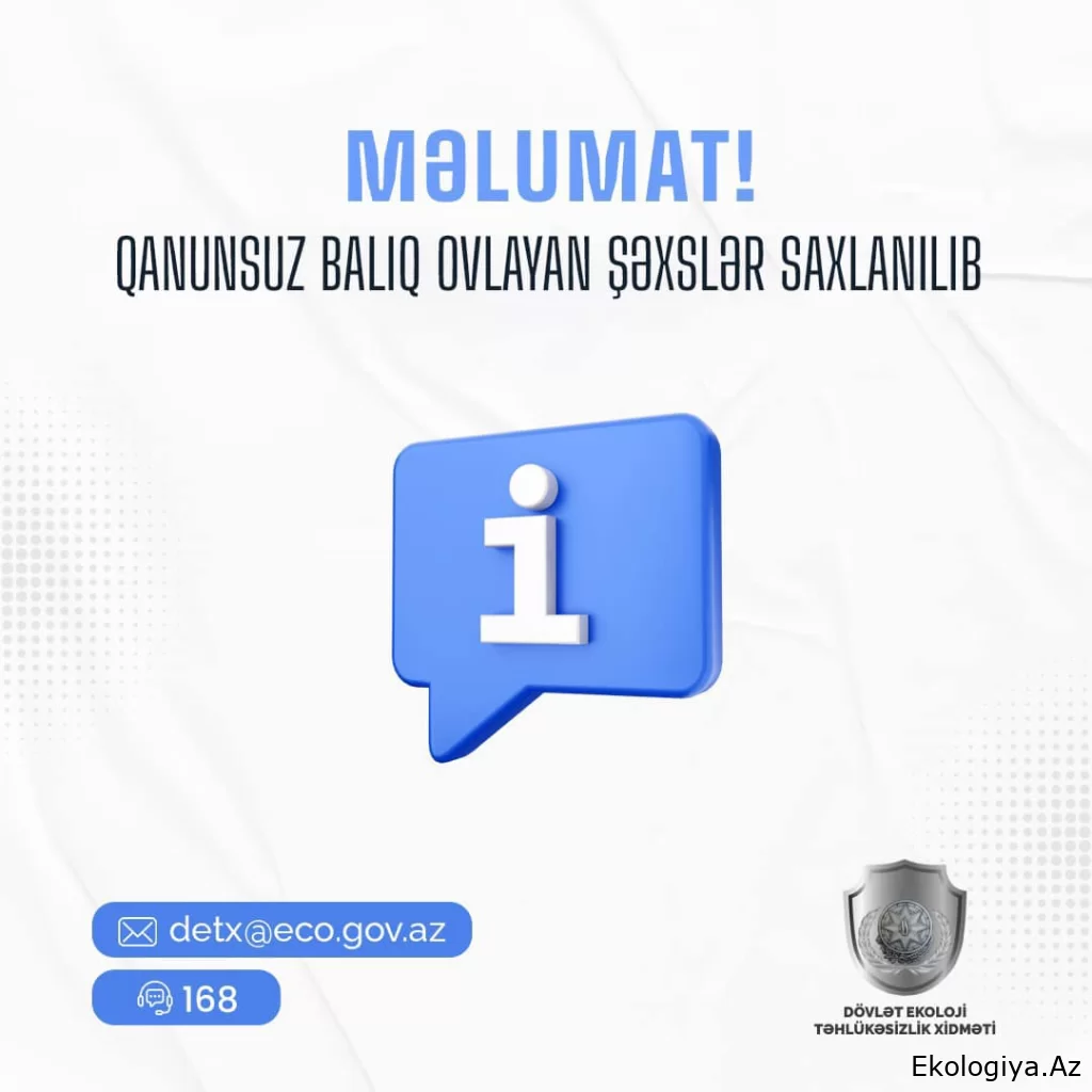DETX bu rayonlarda qanunsuz balıq ovlayan şəxslər saxladı