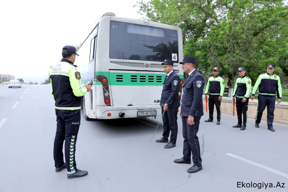 Naxçıvanda "Təmiz hava" aylığı çərçivəsində növbəti ekoloji reyd keçirilib