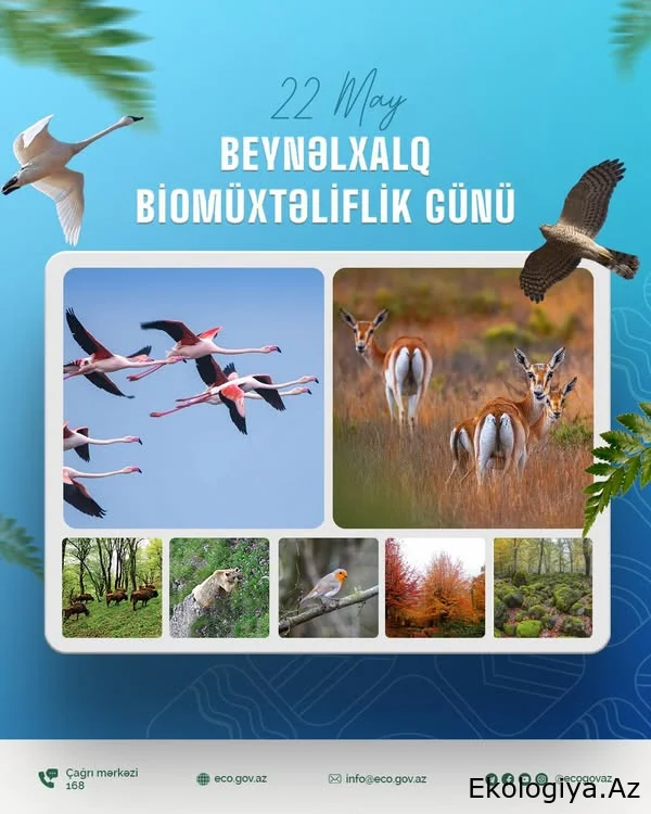 Bu gün Beynəlxalq Biomüxtəliflik Günüdür