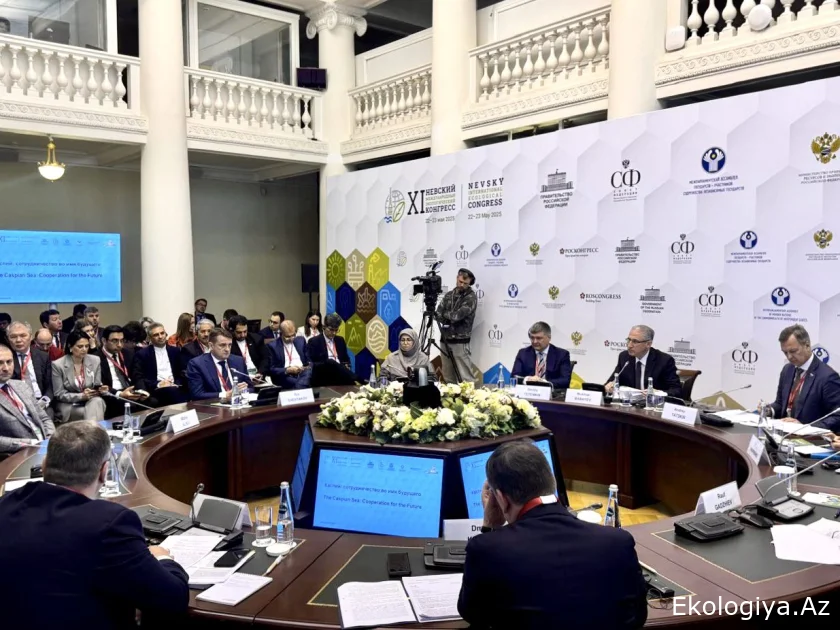 COP29-un rəhbəri Sankt-Peterburqda Xəzər dənizində suyun səviyyəsinin azalmasına dair sessiyaya moderatorluq edib