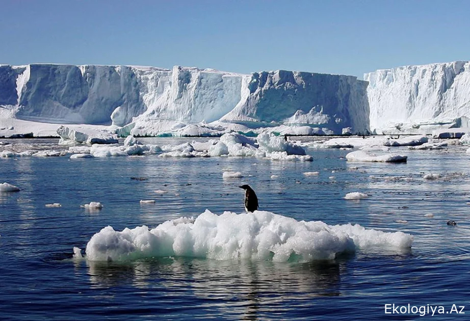 Qlobal temperatur növbəti beş il ərzində rekord həddə qalacaq