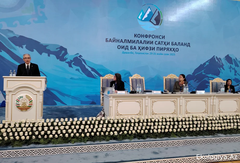Muxtar Babayev: COP29 Sədrliyi regional təlim mərkəzlərinin tərəfdaşlıq platformaları kimi yaradılması təklifini alqışlayır