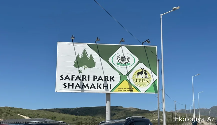 Qafqazın yeganə Safari Parkından REPORTAJ