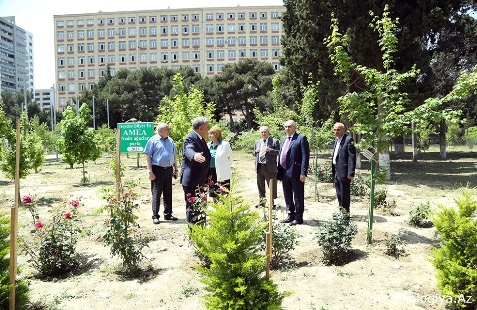 AMEA-nın Nadir ağaclar parkı gələcəkdə elmi-təcrübi baza rolunu oynayacaq