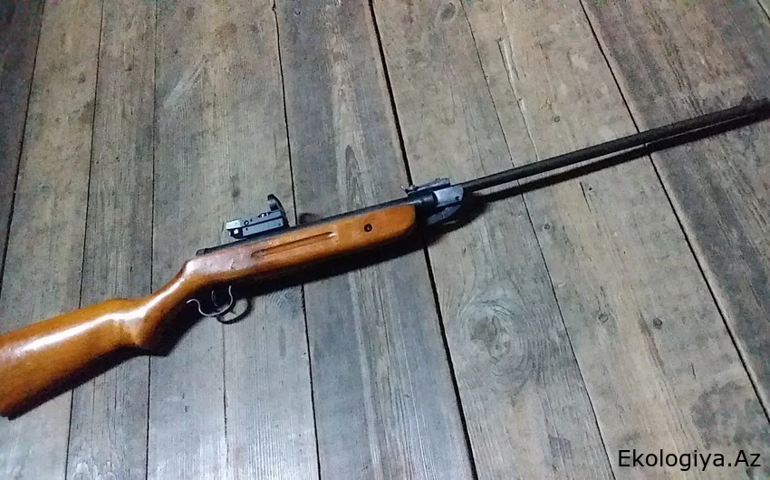 Goranboyda qadın tir tüfəngindən açılan atəş nəticəsində xəsarət alıb