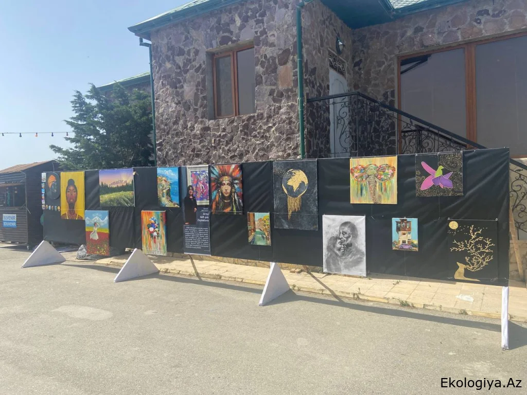 Abşeron Milli Parkında rəsm sərgisi - FOTO
