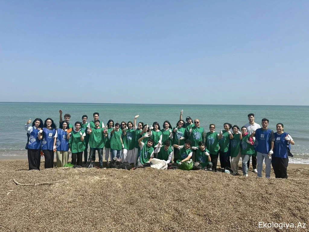 Ümumrespublika Təmizlik Marafonu çərçivəsində növbəti aksiya Xəzərin Novxanı sahilində keçirilib - FOTO