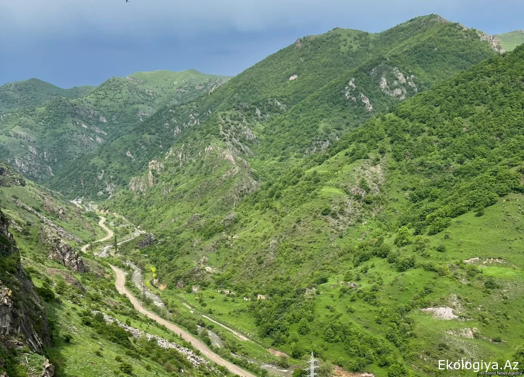 Azad olunmuş ərazilərə “Zəfər Yolu” turizm marşrutu hazırlanır
