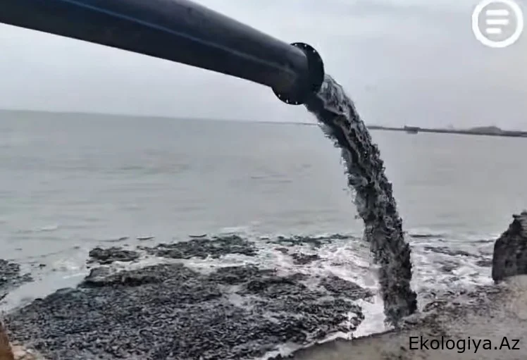 Xəzərin suyu çəkiləndən sonra gizli borular üzə çıxdı - ŞOK GÖRÜNTÜLƏR