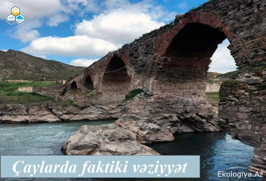 Çaylarda müşahidə olunan faktiki vəziyyət açıqlanıb