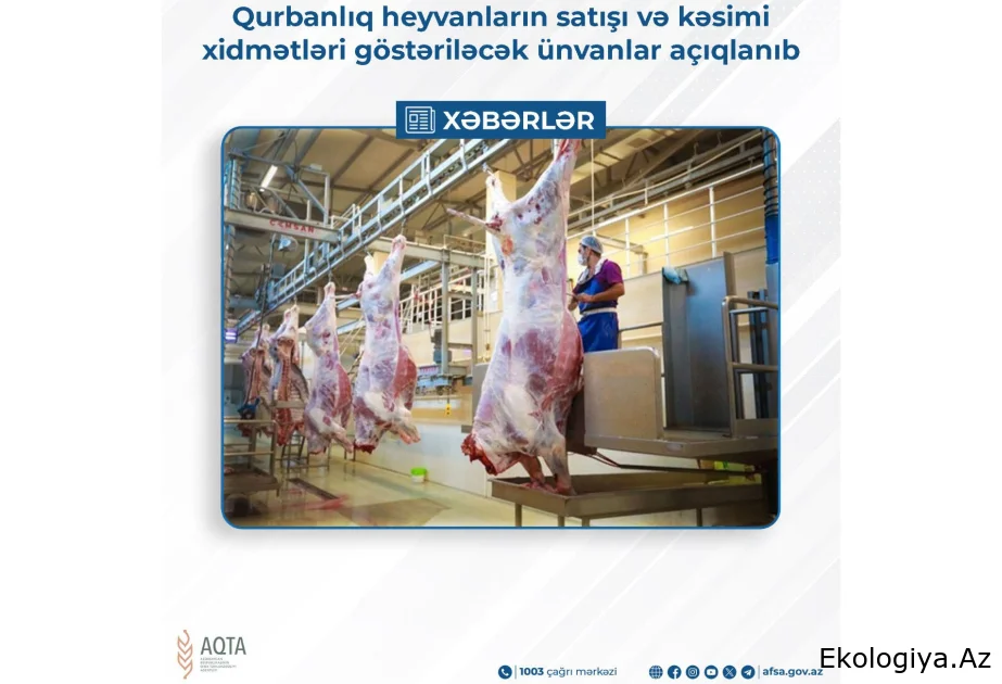 Qurbanlıq heyvanların satışı və kəsimi xidmətləri göstəriləcək ünvanlar açıqlanıb