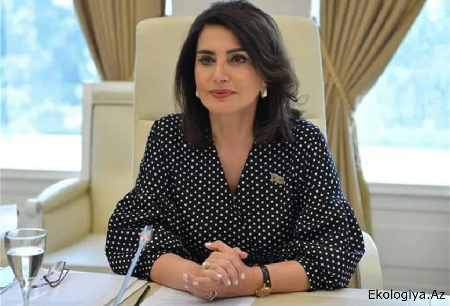 Azərbaycan enerji diplomatiyasının zirvəsində alır ŞƏRH