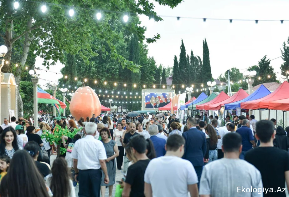 Bölgələrdə Məhsul festivallarına start verilir