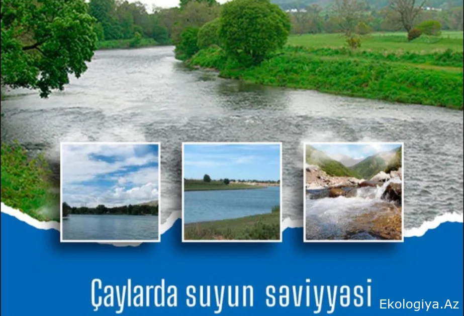 Çaylarda müşahidə olunan faktiki vəziyyət açıqlanıb