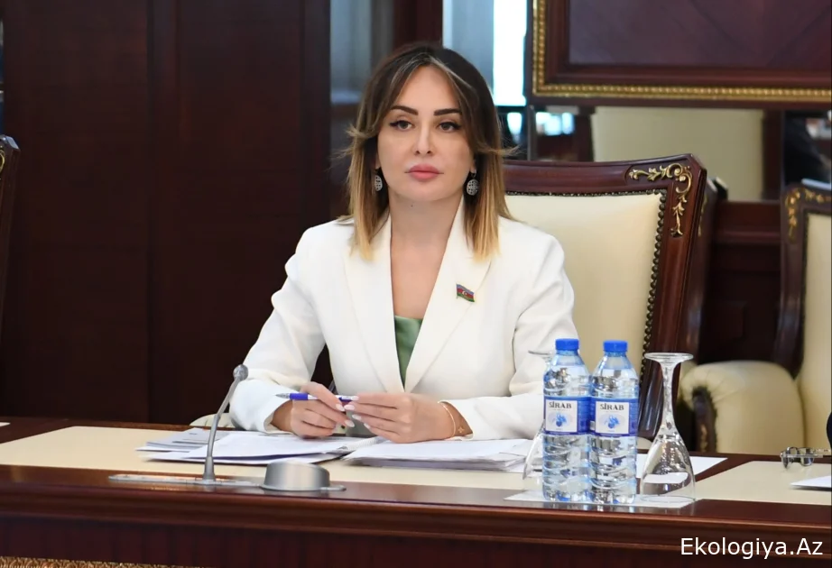 Daxili enerji infrastrukturuna investisiya yatırmaq xarici təhlükələrə qarşı dayanıqlığı artırır RƏY