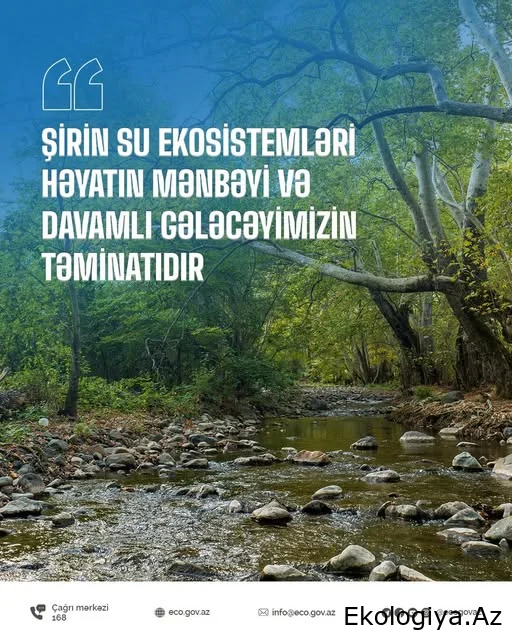 Şirin su ekosistemləri həyatın mənbəyi və gələcəyimizin təminatıdır