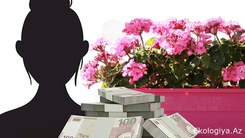 Sumqayıt İcra Hakimiyyətinin 145 minlik gül aldığı Nigar Bağırova kimdir?