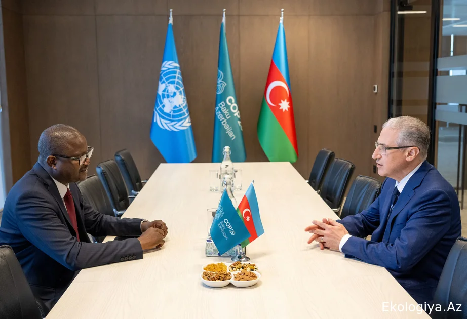 COP29 rəhbərliyi Qvineya-Bisaunun ətraf mühit naziri ilə görüşüb