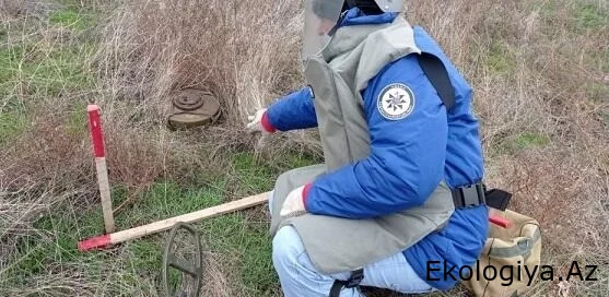 7 min hektardan çox ərazi minalardan təmizləndi