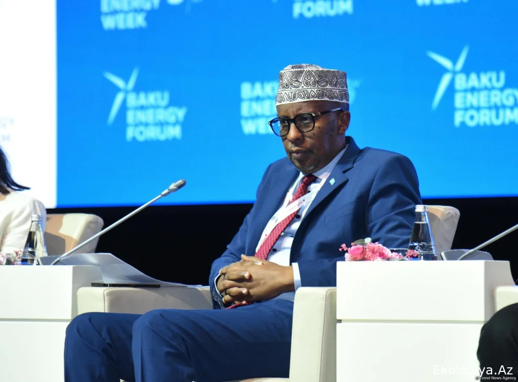Somali "yaşıl" enerji sahəsində Azərbaycanla əməkdaşlığı genişləndirmək niyyətindədir - Nazir