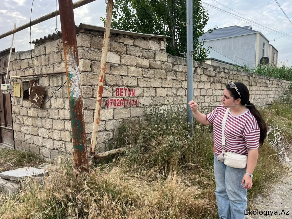 Zabratda kanalizasiya suları qrunt sularına qarışıb, ərazini üfunət basıb - FOTO