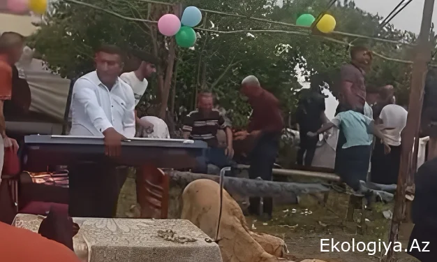 Qəbələdə güclü külək toy mağarını uçurdub