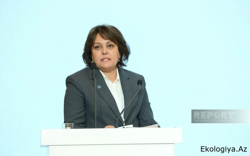Umayra Tağıyeva: Azərbaycan COP29 sədrliyində iqlim ambisiyalarını gücləndirməyə davam edəcək