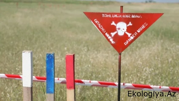 Ötən həftə 1600 hektardan çox ərazi minalardan təmizlənib