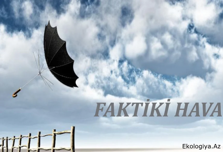 Bakıda küləyin sürəti saniyədə 23 metrə çatır – FAKTİKİ HAVA