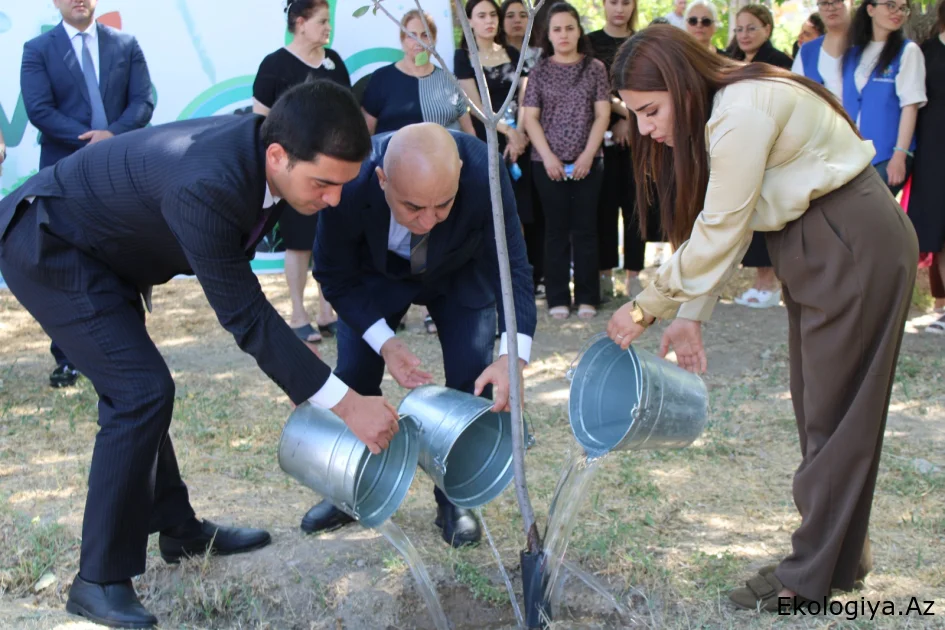 Naxçıvanda növbəti “SUVAR” aksiyası keçirilib
