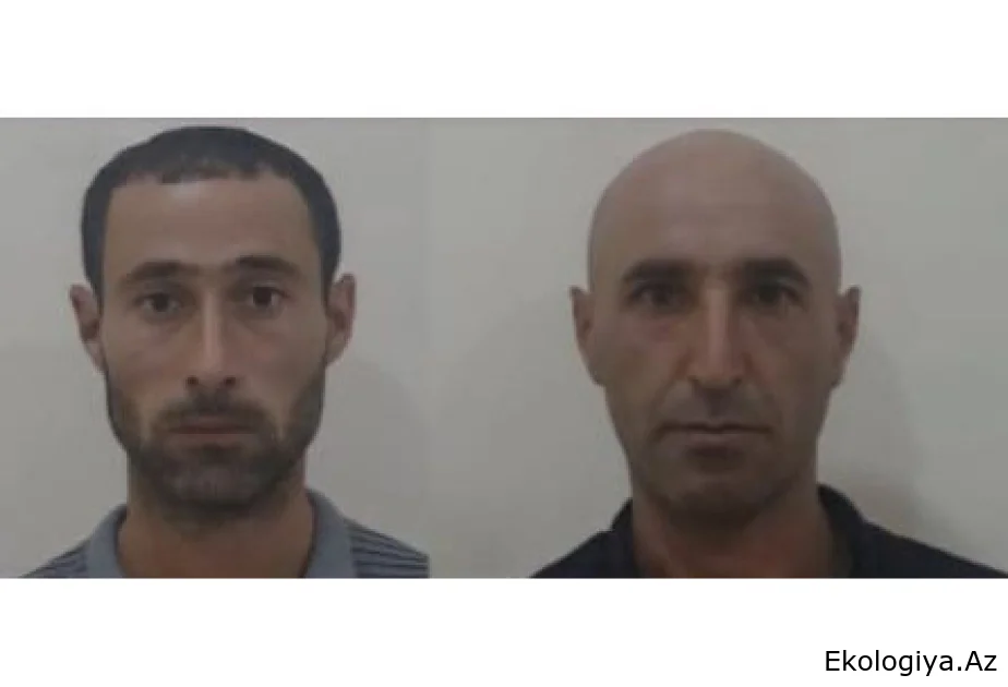 Ağcabədidə çətənə bitkilərinin kultivasiyasını təşkil edən 2 nəfər saxlanılıb