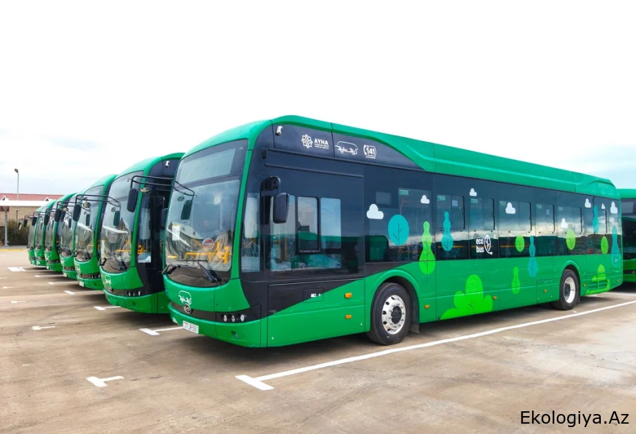 Bakıya 200 yeni avtobus gətirilir