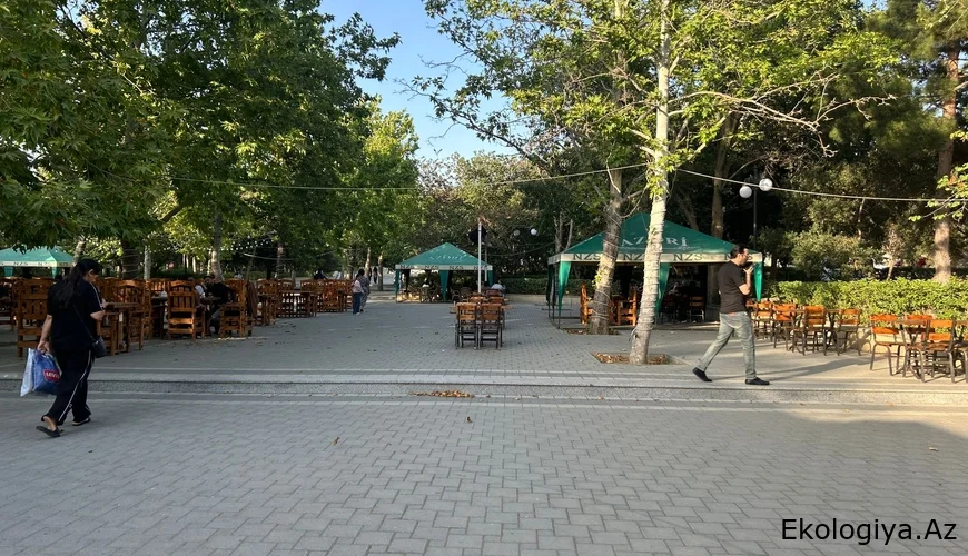 "8-ci kilometr bazarı" ilə üzbəüz parkı çayxanalar zəbt edib -Sakinlər narazıdır - "...söyüş söyülür”