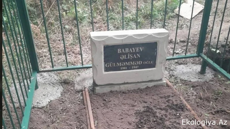 Masallıda 78 il sonra ortaya çıxan həqiqət: Çay plantasiyası yaxınlığında əzablı ölüm