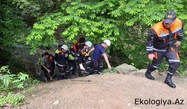 Meşədə köməksiz qalan şəxs xilas edildi - VİDEO