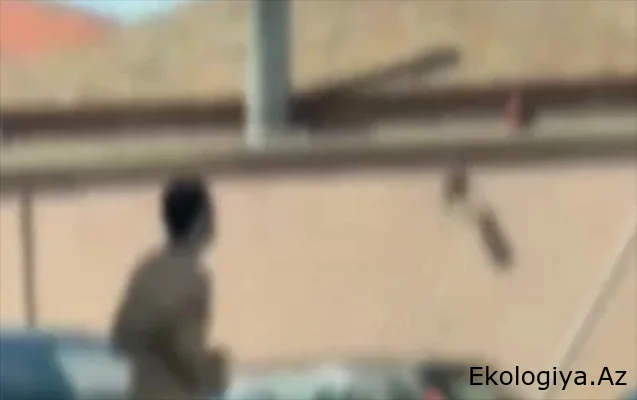 Bakıda magistral yolda lüt gəzən gənc saxlanıldı