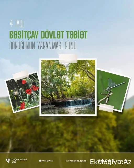 Bəsitçay Dövlət Təbiət Qoruğu - dik yamaclı dağlar, təpəliklər və meşələr