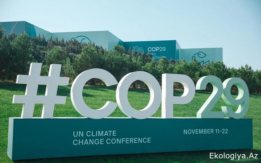 COP29 nümayəndə heyəti Sevilyada beynəlxalq konfransda iştirak edir